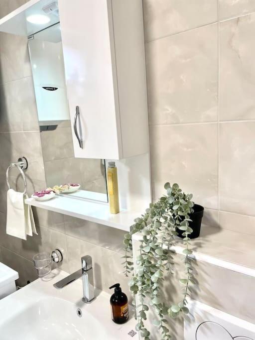 קוטור Apartman Dolcerosa מראה חיצוני תמונה