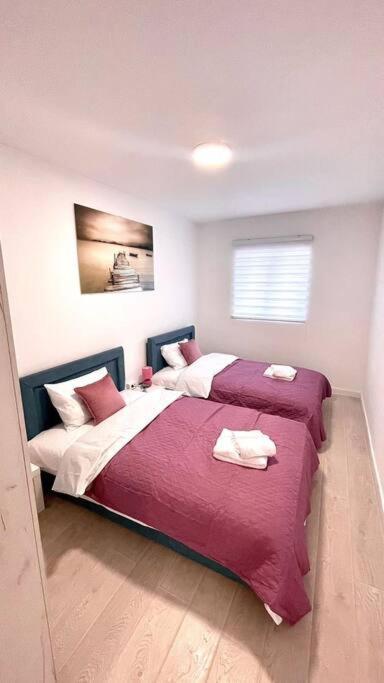 קוטור Apartman Dolcerosa מראה חיצוני תמונה